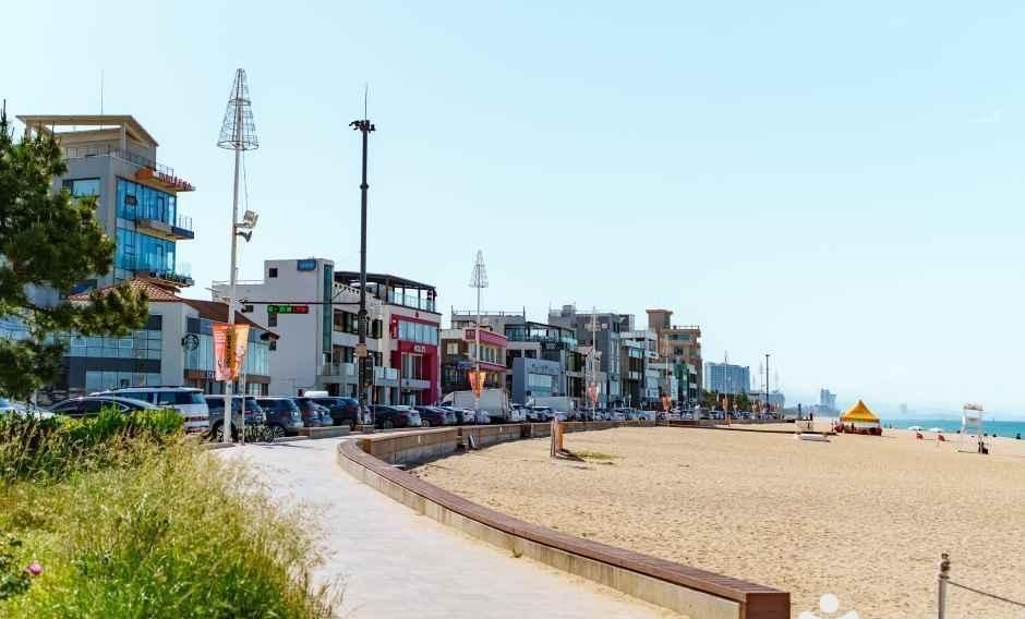 해변을 따라 늘어선 강릉 안목 커피거리 카페 건물