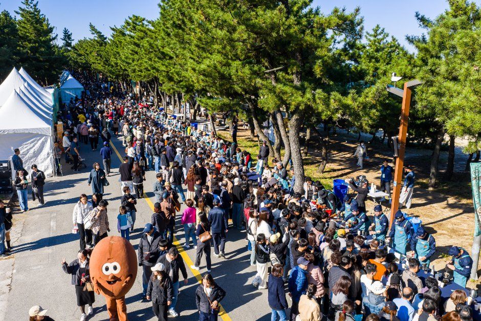 강릉커피축제 행사장 소나무숲길을 가득 메운 관람객 행렬