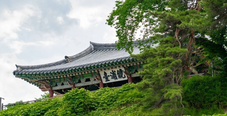 강릉 경포대 누각과 주변 소나무 숲 전경