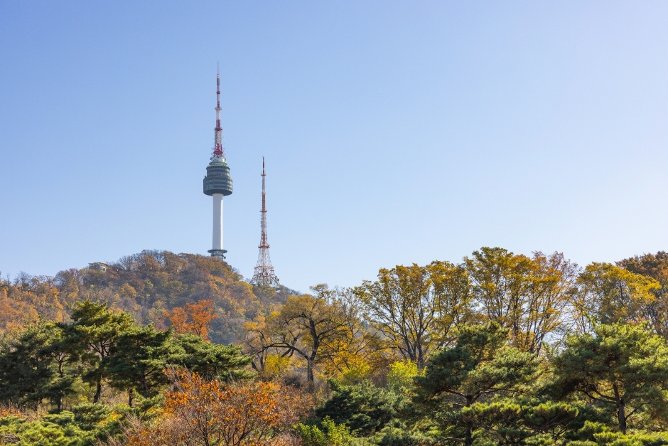 가을 단풍 사이로 올려다본 남산서울타워