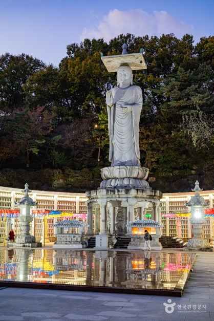 강남 봉은사 야경, 도심 속 사찰 풍경
