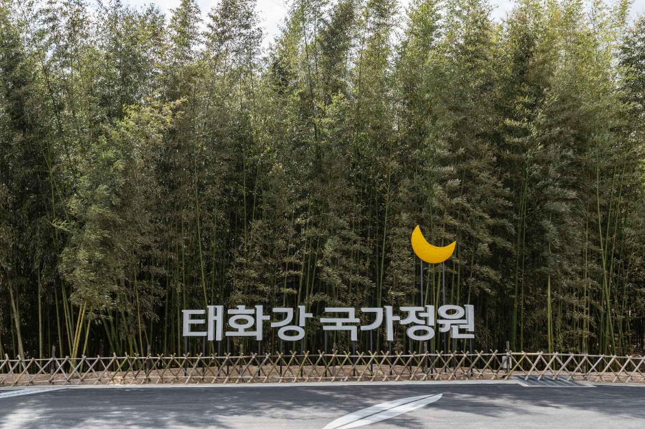 태화강 국가정원 입구 표지와 대나무숲